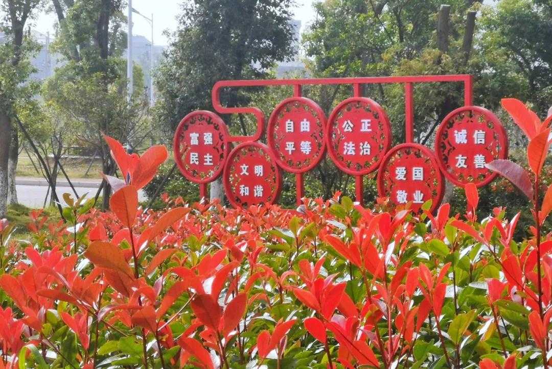 坚持“五讲” 建设“三美”鄱阳卫校大家谈|争做讲奉献、负责任、善管生的班主任